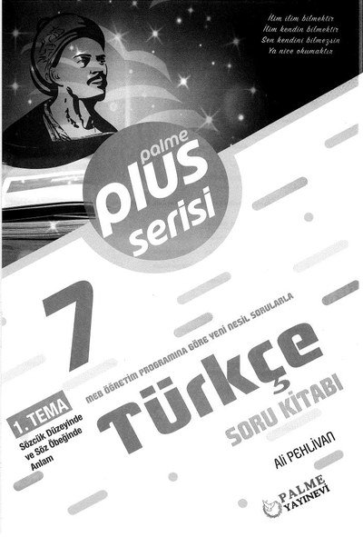 PLUS SERİSİ TÜRKÇE SORU KİTABI Fotokopinci -
