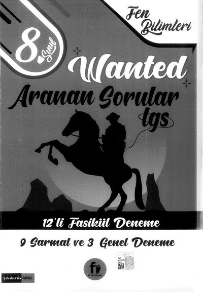 WANTED ARANAN SORULAR LGS 12'Lİ FASİKÜL DENEME Fotokopinci -