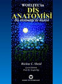 Diş Anatomisi Diş Hekimliği ile İlişkisi, Woelfel, Rickne Sheid, Sezgin İlgi Fotokopinci -