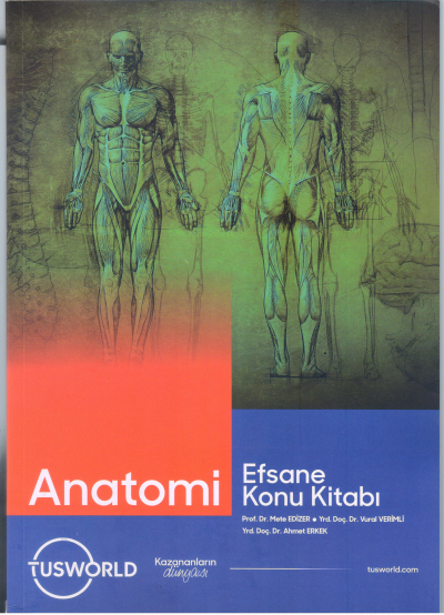 Anatomi Efsane Konu Kitabı Tusworld Fotokopinci -