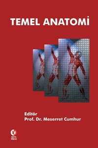 Temel Anatomi ODTÜ Yayıncılık Akademi Fotokopinci -