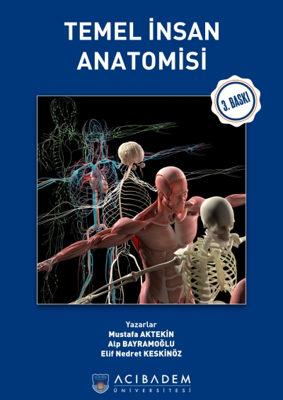 Temel İnsan Anatomisi Acıbadem Üniversitesi Fotokopinci -